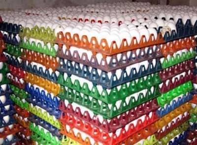 अंड्यांनी भरलेला ट्रक चोरट्यांनी पळवला!