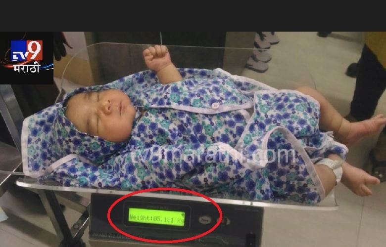 कोल्हापुरात 'बाहुबली'चा जन्म! कोल्हापुरात 'बाहुबली'चा जन्म!