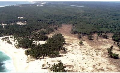 अंदमानात अमेरिकी पर्यटकाची आदिवासींकडून बाण मारुन हत्या