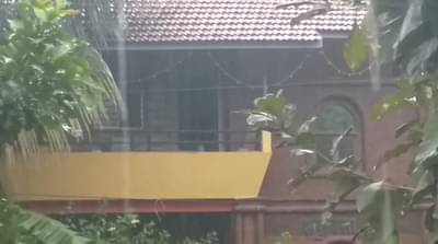 राज्यात हिवसाळा, अनेक ठिकाणी अवकाळी पाऊस!