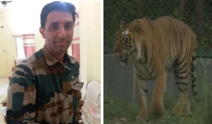 वाघिणीला ठार करणाऱ्या शार्प शूटरची धारदार प्रतिक्रिया वाघिणीला ठार करणाऱ्या शार्प शूटरची धारदार प्रतिक्रिया