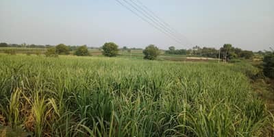 वैद्यनाथ कारखान्याच्या पाण्याचा शेतीला फायदाच, व्हिडीओतून दावा