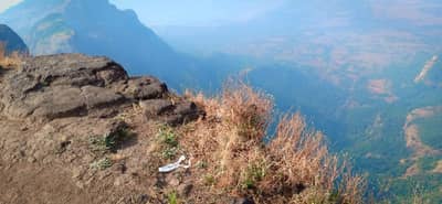 अतिउत्साह भोवला, हरीश्चंद्र गडावर ट्रेकर्स रात्रभर अडकून