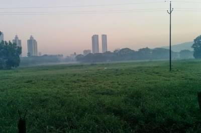 नॅशनल पार्कातील आरेची 600 एकर जागा वनासाठी राखीव, आदिवासींचे हक्क अबाधित ठेवण्याचे निर्देश