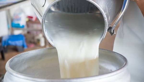 शेतकऱ्यांसाठी सरकारचा मोठा निर्णय, राज्यात दररोज 10 लाख लिटर दुधाची खरेदी करणार