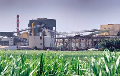 आता थेट कारखान्यातून साखर खरेदी करता येणार