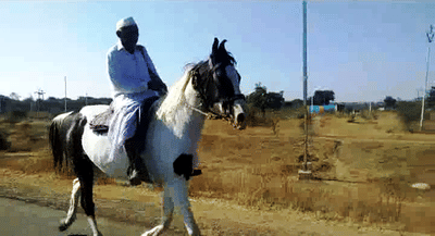 अपघाताच्या भीतीपोटी आजही घोड्यावरुन प्रवास करणारे आजोबा