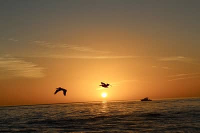 सूर्यास्तानंतर या गोष्टी कधीही करू नका दान, अन्यथा जीवनात येतील संकटे