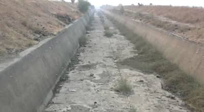 सिंचन घोटाळा : सीबीआय- ईडीला प्रतिवादी करण्याची मागणी हायकोर्टाने फेटाळली