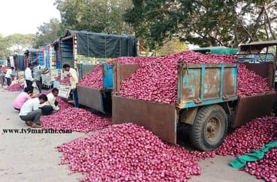 कांदा पुन्हा शंभरी गाठणार? लासलगाव बाजार समितीतील कांदा लिलाव अनिश्चित काळासाठी बंद