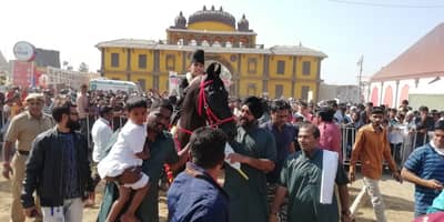 वय वर्षे 11, तब्बल 350 किमी घोडेस्वारी करत राजवीर सारंगखेड्यात दाखल