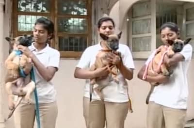 मुंबई पोलिसात 5 नवे खतरनाक पहारेकरी!