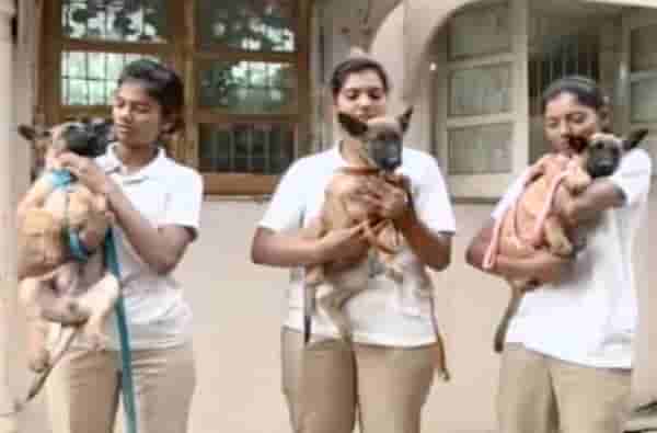 मुंबई पोलिसात 5 नवे खतरनाक पहारेकरी!