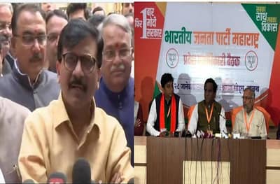 राऊत म्हणाले, शिवसेनाच मोठा भाऊ, दानवे म्हणतात....