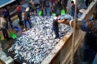 लोकसभा आणि विधानसभेच्या निवडणुकांवर मच्छीमारांचा बहिष्कार ?