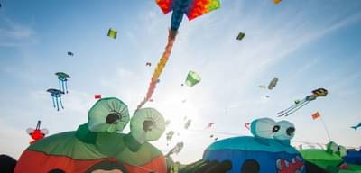 मकरसंक्रांतीला पतंग का उडवतात? जाणून घ्या...