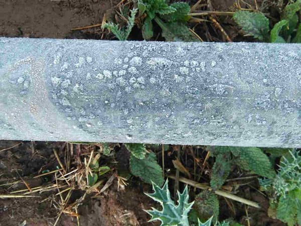 थंडीचा कडाका वाढला, नंदुरबारमध्ये दवबिंदू गोठले