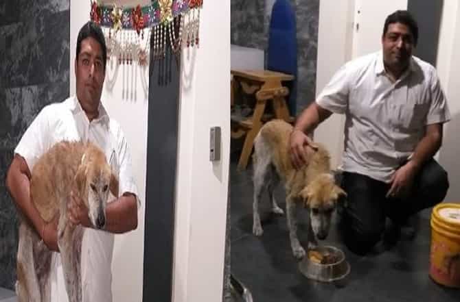 तेरी मेहरबानियाँ! पुण्यात कुत्र्याने हार्ट अटॅक आलेल्या मालकाचा जीव वाचवला