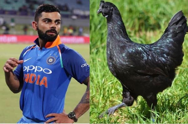 विराट भावा, कडकनाथ खा, थेट BCCI ला पत्र