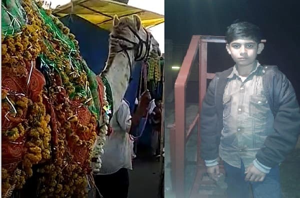 उंटाने चावा घेतल्याने 16 वर्षीय तरुणाचा मृत्यू