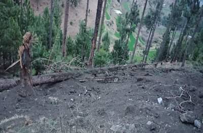 भारताने पाकवर बॉम्ब टाकला, दिग्गजांच्या प्रतिक्रिया काय?