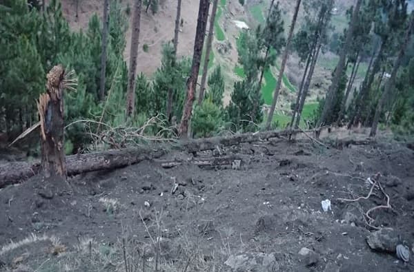 भारताने पाकवर बॉम्ब टाकला, दिग्गजांच्या प्रतिक्रिया काय?