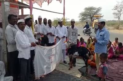 बारामतीत बोकड - शेळीचं लग्न, आहेर सरकारला देणार