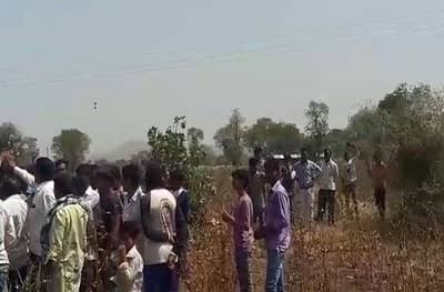 बुलडाण्यात अस्वलाचा धुमाकूळ, शेतकऱ्यावर हल्ला