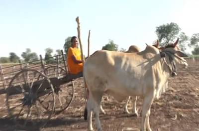 महिला दिन विशेष : शंकरपटाचा थरार सांभाळणारी पहिली धुरकरी