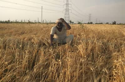 1 लाख 37 हजाराचं कर्ज, मात्र शेतकऱ्याच्या खात्यात 1 लाख 17 हजारच जमा