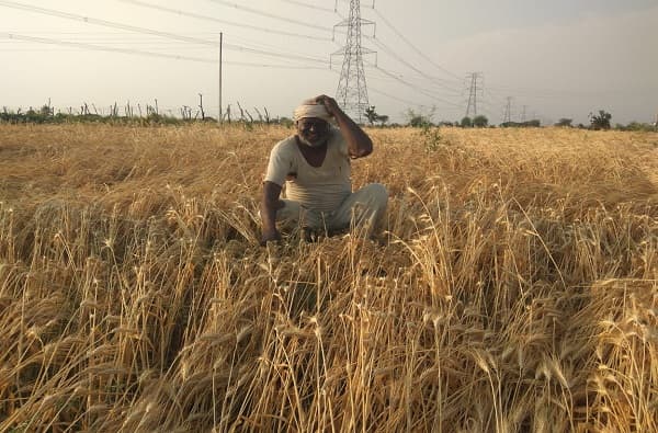 1 लाख 37 हजाराचं कर्ज, मात्र शेतकऱ्याच्या खात्यात 1 लाख 17 हजारच जमा