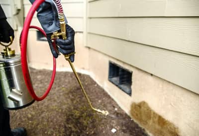 खळबळजनक!!! पुण्यात पेस्ट कंट्रोलने दोन तरुणांचा मृत्यू