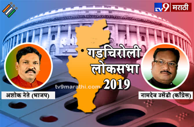 गडचिरोलीत दुपारी तीनपर्यंत 57 टक्के मतदान