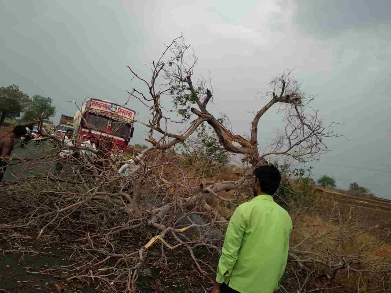 बीड, लातूरमध्ये वादळी वाऱ्यासह गारपीट, झाडं उन्मळून पडली