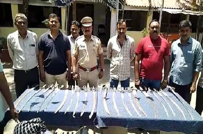 नागपुरात कोंबिंग ऑपरेशन, 20 तलवारींचा साठा जप्त