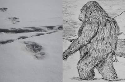 मानवाचा वंशज येतीच्या पाऊलखुणा दिसल्या, भारतीय सैन्याचा दावा