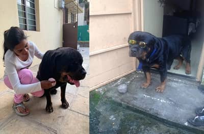 पुणे तिथे काय उणे! कुत्र्याचा आजार बरा व्हावा म्हणून जागरण गोंधळ