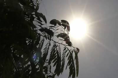 चंद्रपुरात आज जगातल्या सर्वोच्च तापमानाची नोंद