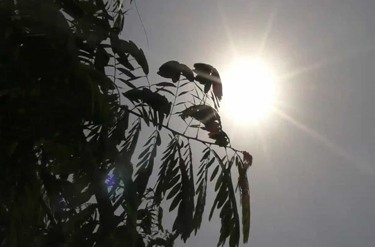 चंद्रपुरात आज जगातल्या सर्वोच्च तापमानाची नोंद