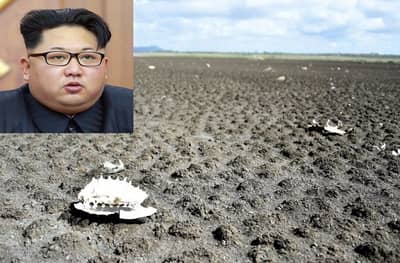 अण्वस्त्रांच्या धमक्या देणाऱ्या किम जोंग-उनच्या देशात भीषण दुष्काळ, नागरिकांची उपासमार