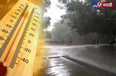 हवामानाचे विचित्र चित्र; राज्यात कुठे थंडी अन् कुठे होणार पाऊस, निफाड ठंडा ठंडा Cool Cool