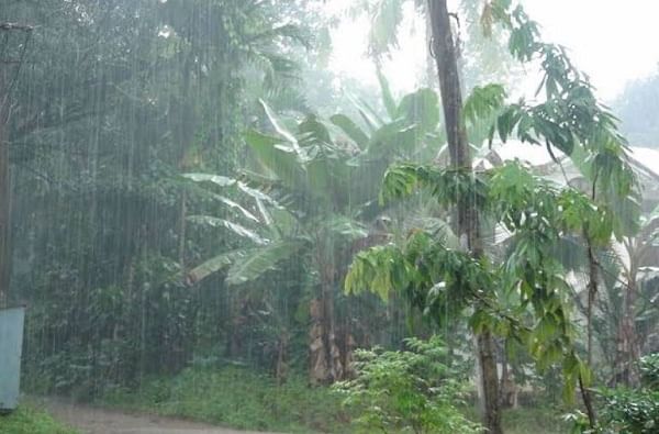 Maharashtra Monsoon Rain | मुंबई, पुण्यात मान्सूनची हजेरी, पुढील पाच दिवस कुठे-कुठे पावसाची शक्यता?
