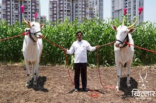 तेलंगणाचा 80 हजार कोटींचा सिंचन प्रकल्प, तीन मुख्यमंत्र्यांच्या हस्ते भूमीपूजन