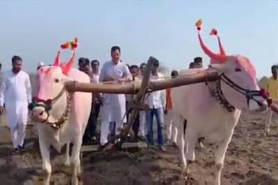 आरक्षण गेलं खड्ड्यात, आपल्या व्यवस्थेतच मोठा दोष : संभाजीराजे