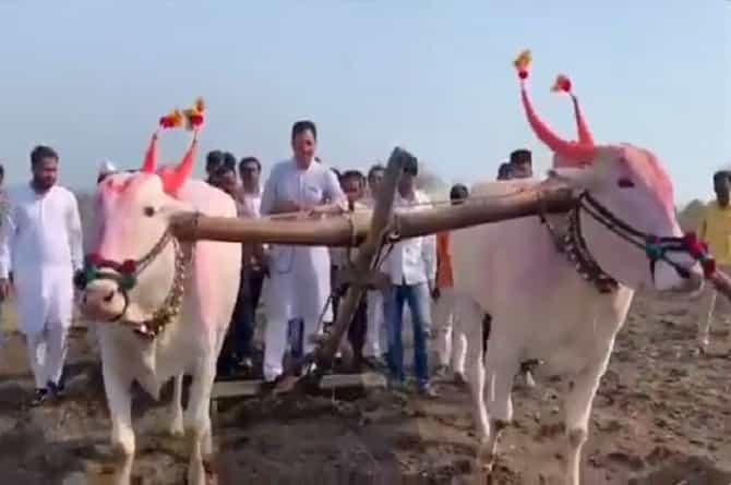 आरक्षण गेलं खड्ड्यात, आपल्या व्यवस्थेतच मोठा दोष : संभाजीराजे
