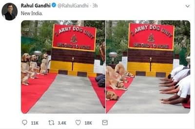 राहुल गांधींकडून श्वान पथक आणि जवानांच्या योगाची खिल्ली