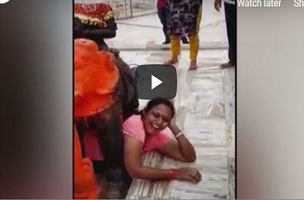 VIDEO : नवस फेडणारी महिला हत्तीच्या पोटाखाली अडकली, सेल्फीने फसली