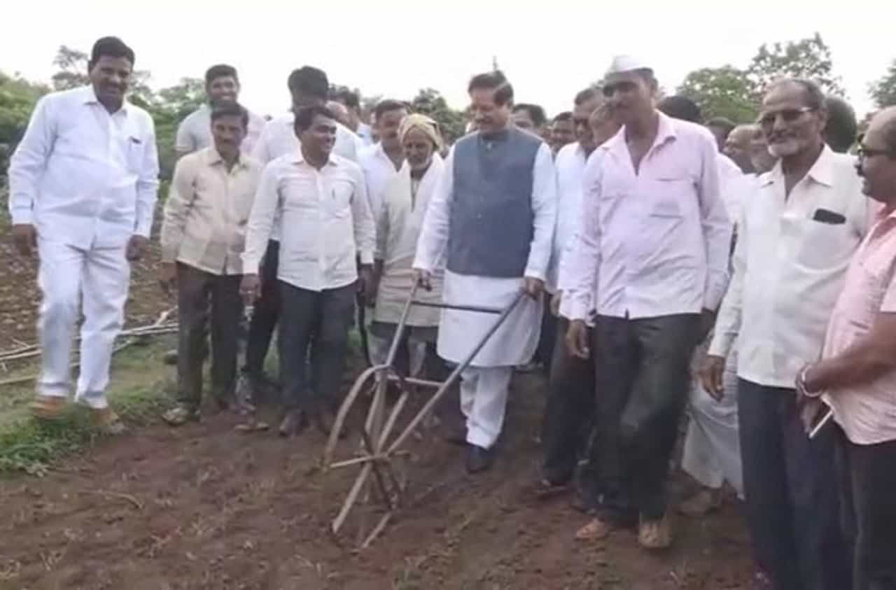 VIDEO : दीड किमीची पायपीट, शेतात जाऊन पृथ्वीराज चव्हाण यांची कोळपणी