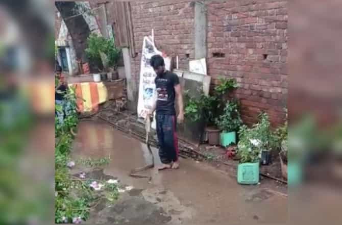 सापाला जमिनीवर आपटून आपटून मारले, व्हिडीओ व्हायरल