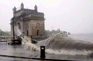 LIVE :  CSMT – वाशी मार्गावरील लोकल वाहतूक सुरु